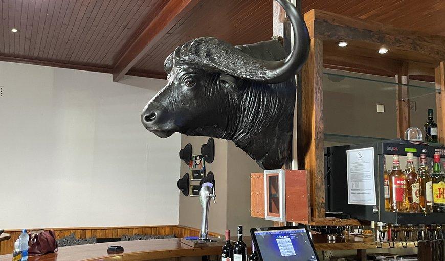 Buffalo Hotel Hectorspruit Zewnętrze zdjęcie
