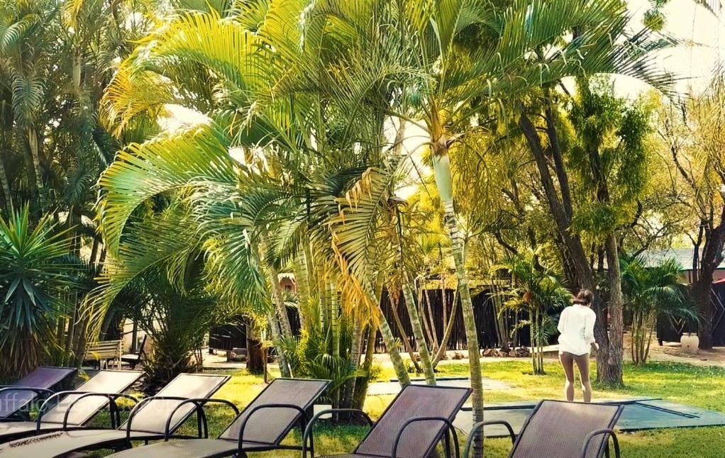 Buffalo Hotel Hectorspruit Zewnętrze zdjęcie